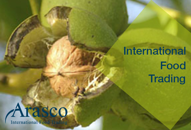 Identity shaping and storytelling