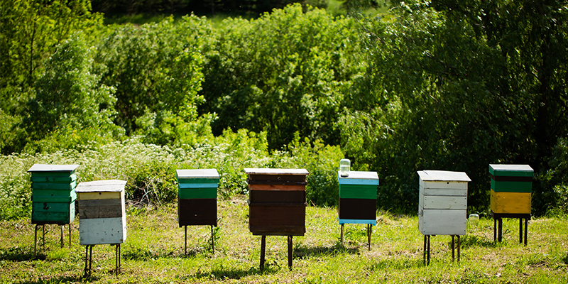 creating emotional appeal