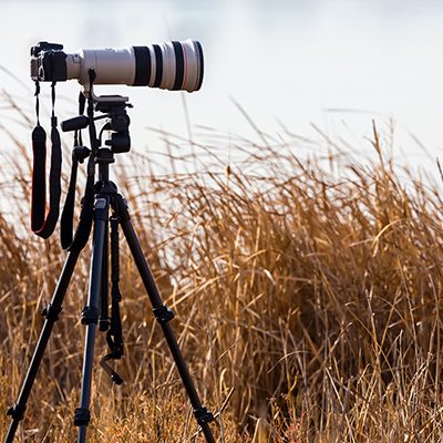 Design and photography